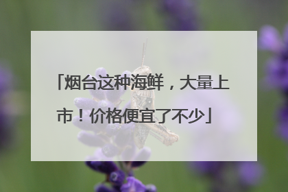 烟台这种海鲜，大量上市！价格便宜了不少