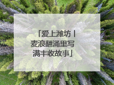 爱上潍坊丨麦浪翻涌里写满丰收故事