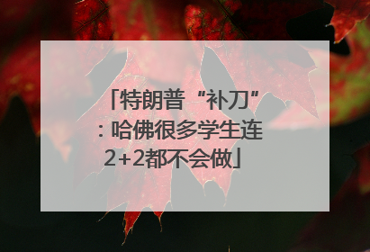 特朗普“补刀”：哈佛很多学生连2+2都不会做