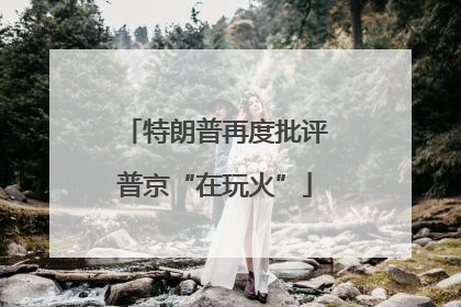 特朗普再度批评普京“在玩火”