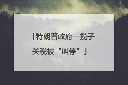 特朗普政府一揽子关税被“叫停”
