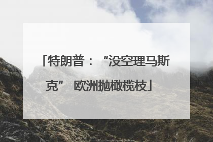 特朗普：“没空理马斯克” 欧洲抛橄榄枝