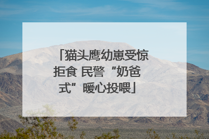 猫头鹰幼崽受惊拒食 民警“奶爸式”暖心投喂
