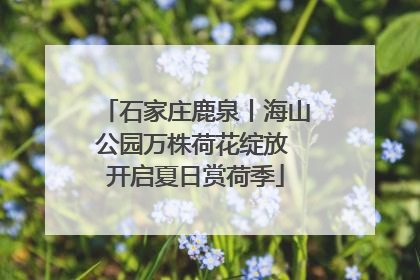 石家庄鹿泉丨海山公园万株荷花绽放 开启夏日赏荷季