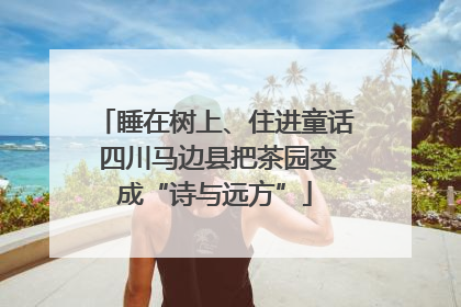 睡在树上、住进童话 四川马边县把茶园变成“诗与远方”