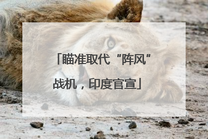 瞄准取代“阵风”战机，印度官宣