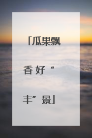 瓜果飘香 好“丰”景