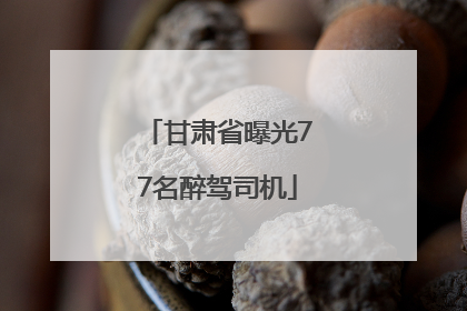 甘肃省曝光77名醉驾司机