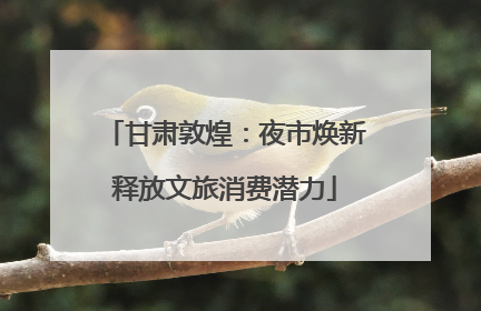甘肃敦煌：夜市焕新释放文旅消费潜力