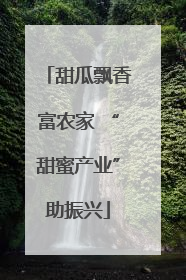 甜瓜飘香富农家 “甜蜜产业”助振兴