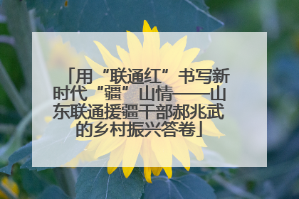 用“联通红”书写新时代“疆”山情——山东联通援疆干部郝兆武的乡村振兴答卷