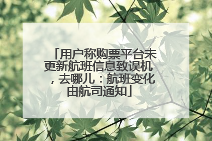 用户称购票平台未更新航班信息致误机，去哪儿：航班变化由航司通知