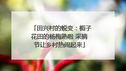 田兴村的蜕变：栀子花田的杨梅熟啦 采摘节让乡村热闹起来