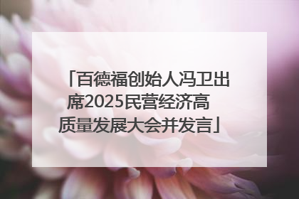 百德福创始人冯卫出席2025民营经济高质量发展大会并发言