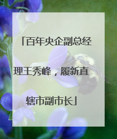 百年央企副总经理王秀峰，履新直辖市副市长