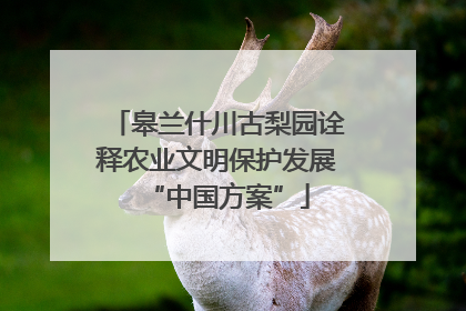 皋兰什川古梨园诠释农业文明保护发展“中国方案”