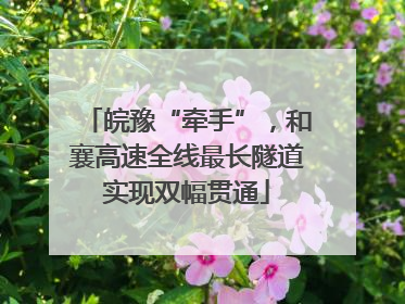 皖豫“牵手”，和襄高速全线最长隧道实现双幅贯通