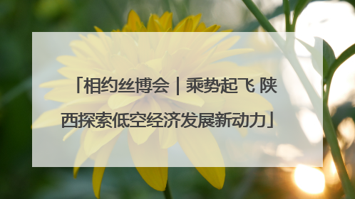 相约丝博会｜乘势起飞 陕西探索低空经济发展新动力