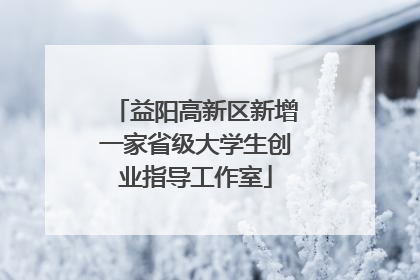 益阳高新区新增一家省级大学生创业指导工作室