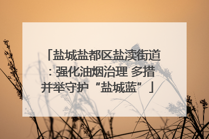 盐城盐都区盐渎街道：强化油烟治理 多措并举守护“盐城蓝”