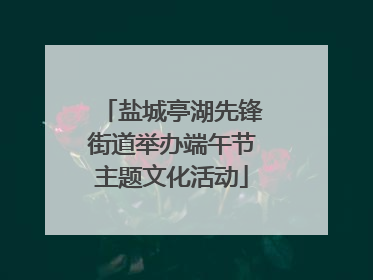 盐城亭湖先锋街道举办端午节主题文化活动