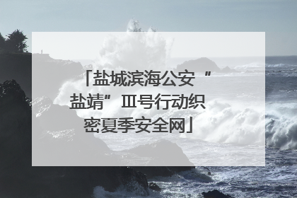 盐城滨海公安“盐靖”Ⅲ号行动织密夏季安全网