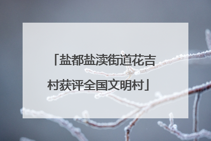 盐都盐渎街道花吉村获评全国文明村