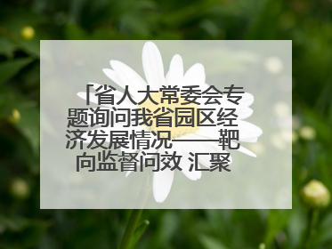 省人大常委会专题询问我省园区经济发展情况——靶向监督问效 汇聚发展动能