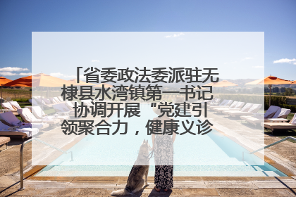 省委政法委派驻无棣县水湾镇第一书记 协调开展“党建引领聚合力，健康义诊惠乡亲”义诊活动