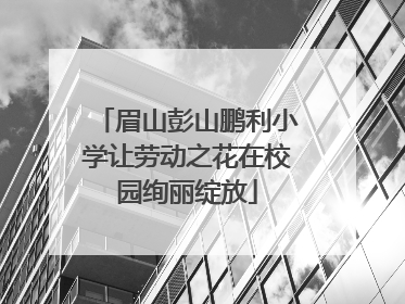 眉山彭山鹏利小学让劳动之花在校园绚丽绽放