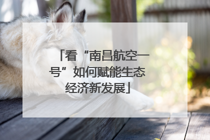 看“南昌航空一号”如何赋能生态经济新发展