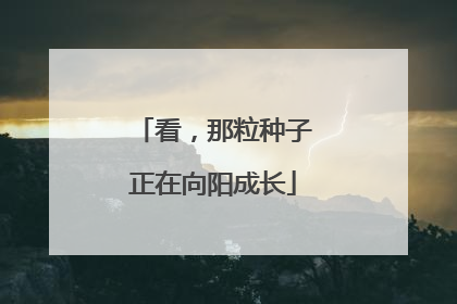 看，那粒种子正在向阳成长
