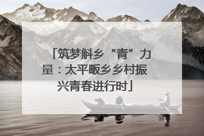 筑梦斛乡“青”力量：太平畈乡乡村振兴青春进行时