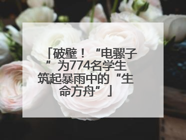 破壁！“电骡子”为774名学生筑起暴雨中的“生命方舟”