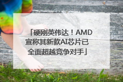 硬刚英伟达！AMD宣称其新款AI芯片已全面超越竞争对手
