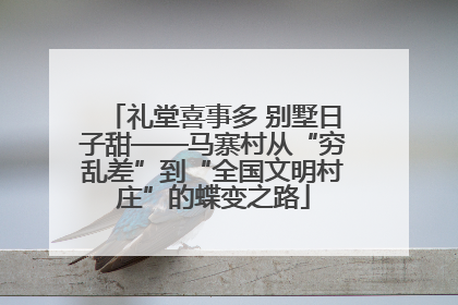礼堂喜事多 别墅日子甜——马寨村从“穷乱差”到“全国文明村庄”的蝶变之路