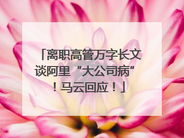 离职高管万字长文谈阿里“大公司病”！马云回应！