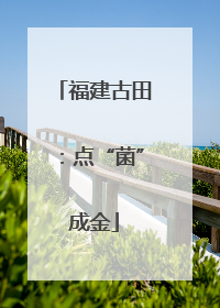 福建古田：点“菌”成金