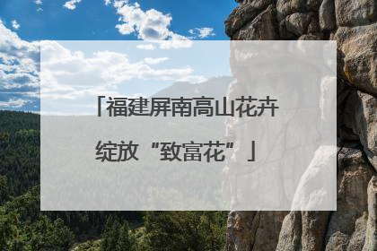 福建屏南高山花卉绽放“致富花”
