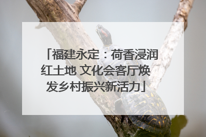 福建永定：荷香浸润红土地 文化会客厅焕发乡村振兴新活力
