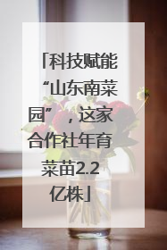 科技赋能“山东南菜园”，这家合作社年育菜苗2.2亿株