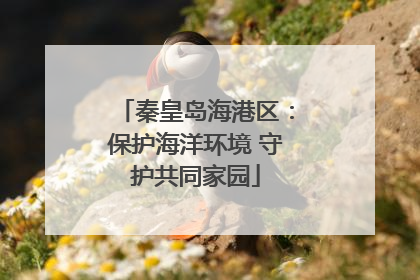 秦皇岛海港区：保护海洋环境 守护共同家园