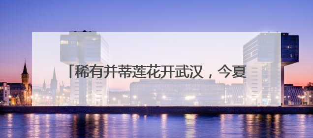 稀有并蒂莲花开武汉，今夏全城28处公园点位可赏荷