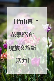 竹山县“花果经济”绽放文旅新活力