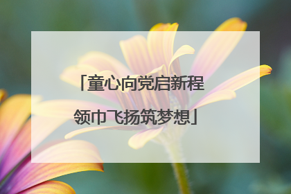 童心向党启新程 领巾飞扬筑梦想
