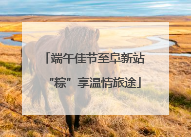 端午佳节至阜新站“粽”享温情旅途
