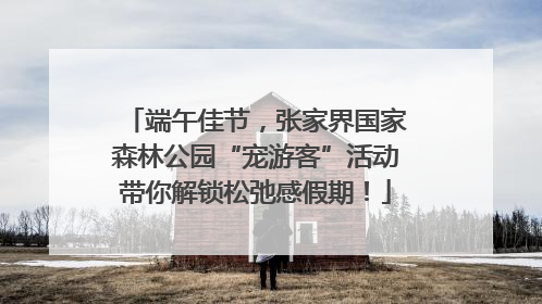 端午佳节，张家界国家森林公园“宠游客”活动带你解锁松弛感假期！