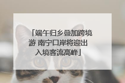 端午归乡叠加跨境游 南宁口岸将迎出入境客流高峰