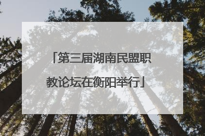 第三届湖南民盟职教论坛在衡阳举行