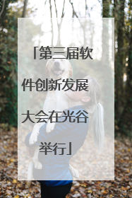 第三届软件创新发展大会在光谷举行
